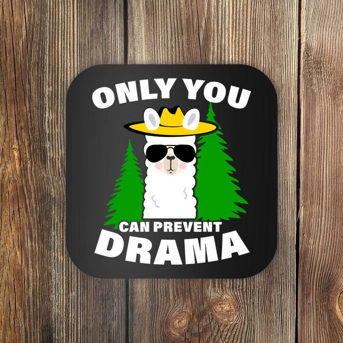 Only You Can Prevent Drama Coaster