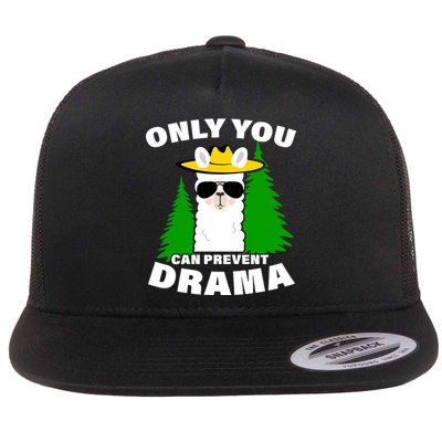 Only You Can Prevent Drama Flat Bill Trucker Hat