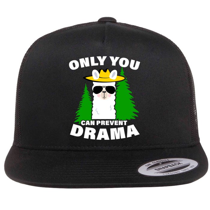 Only You Can Prevent Drama Flat Bill Trucker Hat