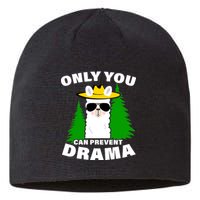 Only You Can Prevent Drama Sustainable Beanie