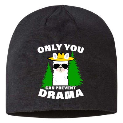 Only You Can Prevent Drama Sustainable Beanie