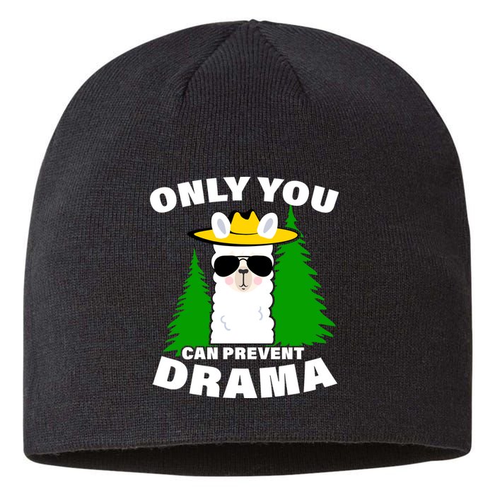 Only You Can Prevent Drama Sustainable Beanie