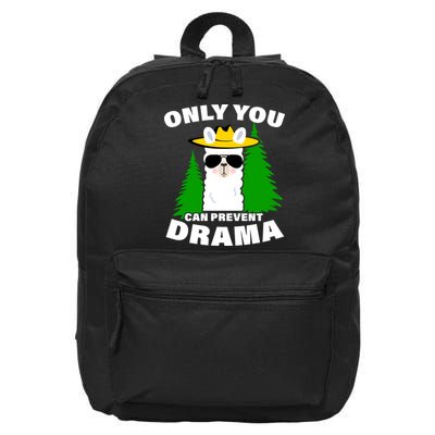 Only You Can Prevent Drama 16 in Basic Backpack