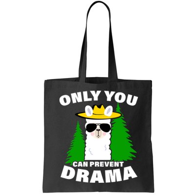 Only You Can Prevent Drama Bag