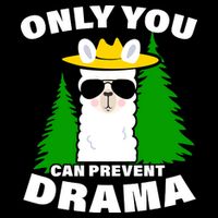 Only You Can Prevent Drama Bag