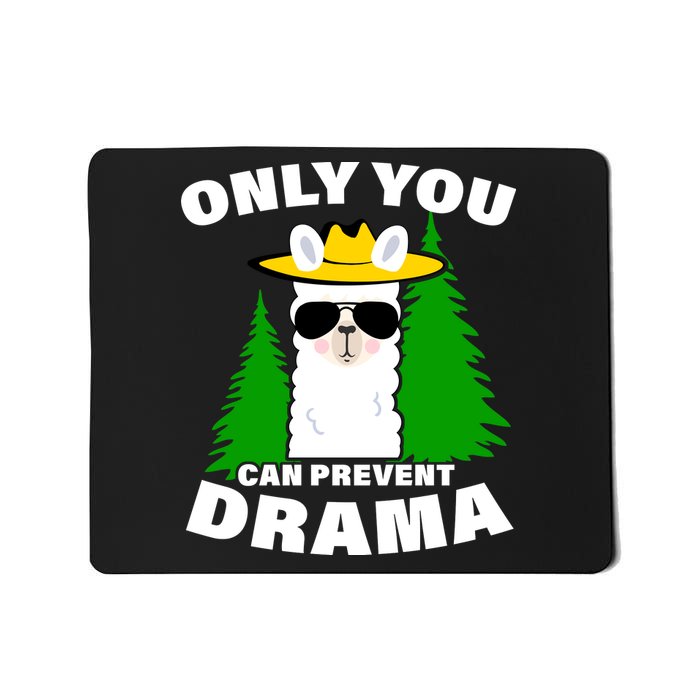 Only You Can Prevent Drama Mousepad