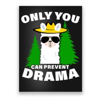 Only You Can Prevent Drama Poster