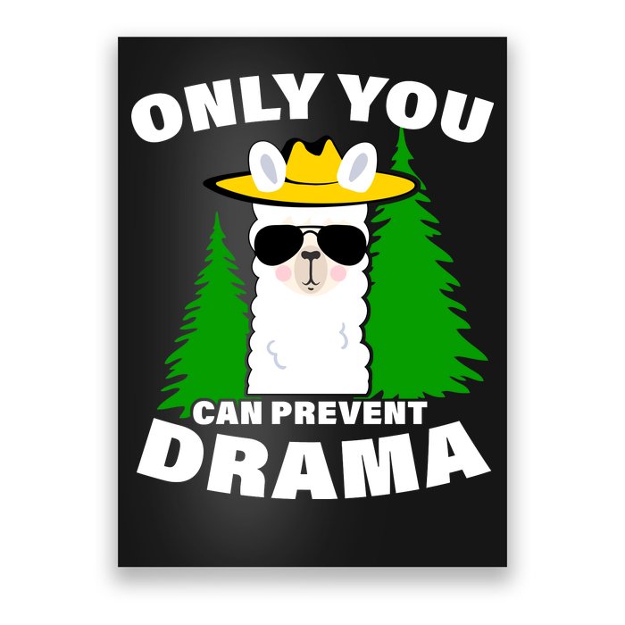 Only You Can Prevent Drama Poster