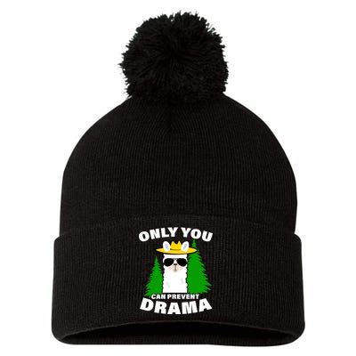 Only You Can Prevent Drama Pom Pom 12in Knit Beanie