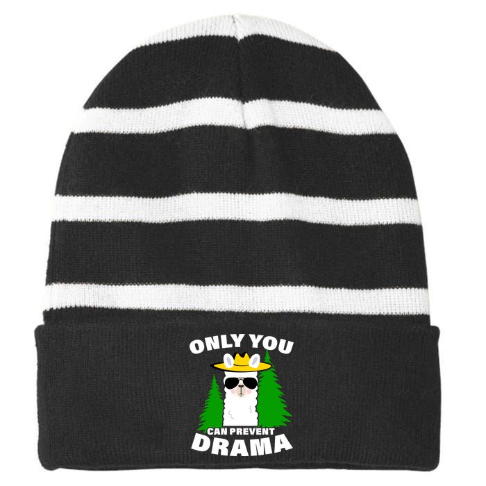 Only You Can Prevent Drama Striped Beanie with Solid Band