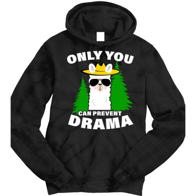 Only You Can Prevent Drama Tie Dye Hoodie