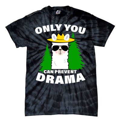 Only You Can Prevent Drama Tie-Dye T-Shirt