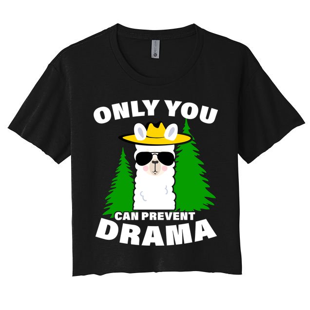 Only You Can Prevent Drama Crop Top
