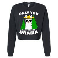 Only You Can Prevent Drama Cropped Pullover Crew