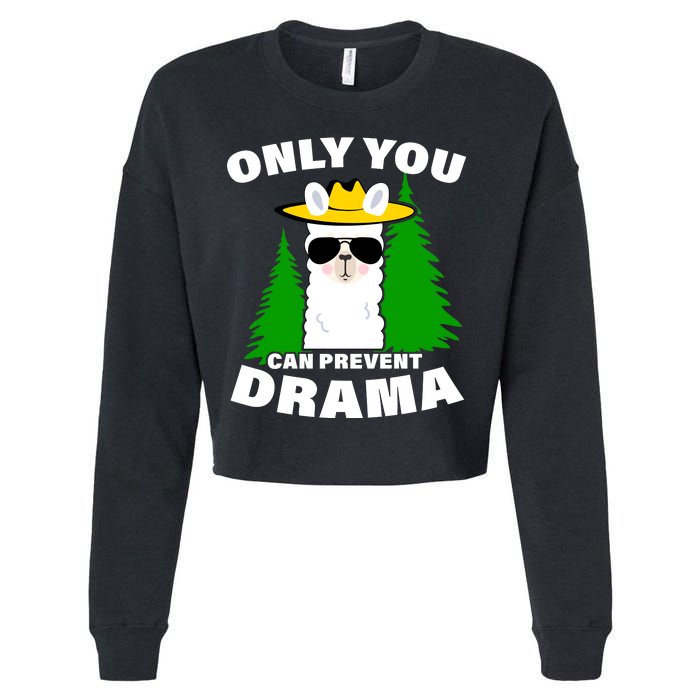 Only You Can Prevent Drama Cropped Pullover Crew