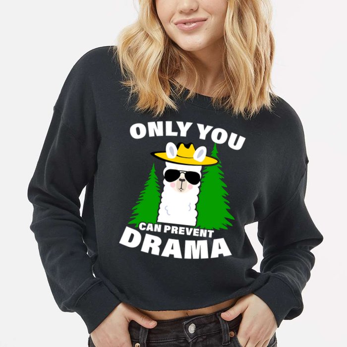 Only You Can Prevent Drama Cropped Pullover Crew