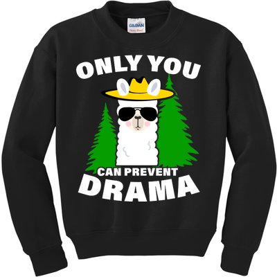 Only You Can Prevent Drama Kids Sweatshirt