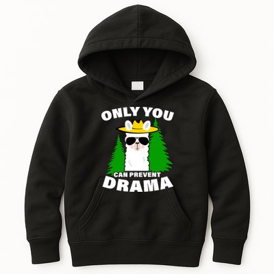 Only You Can Prevent Drama Kids Hoodie