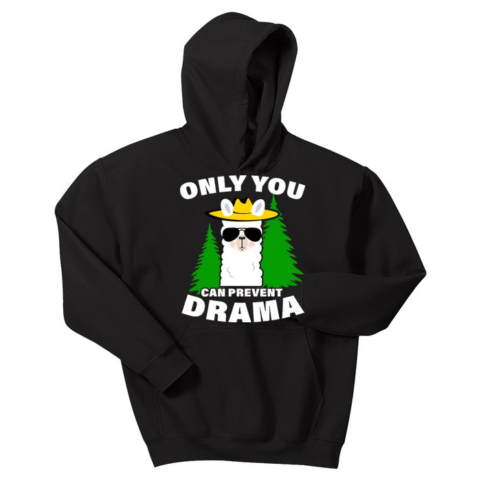 Only You Can Prevent Drama Kids Hoodie