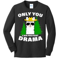 Only You Can Prevent Drama Kids Long Sleeve Shirt