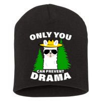 Only You Can Prevent Drama Short Acrylic Beanie