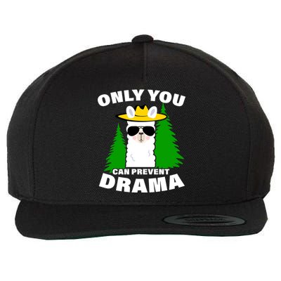 Only You Can Prevent Drama Wool Snapback Cap