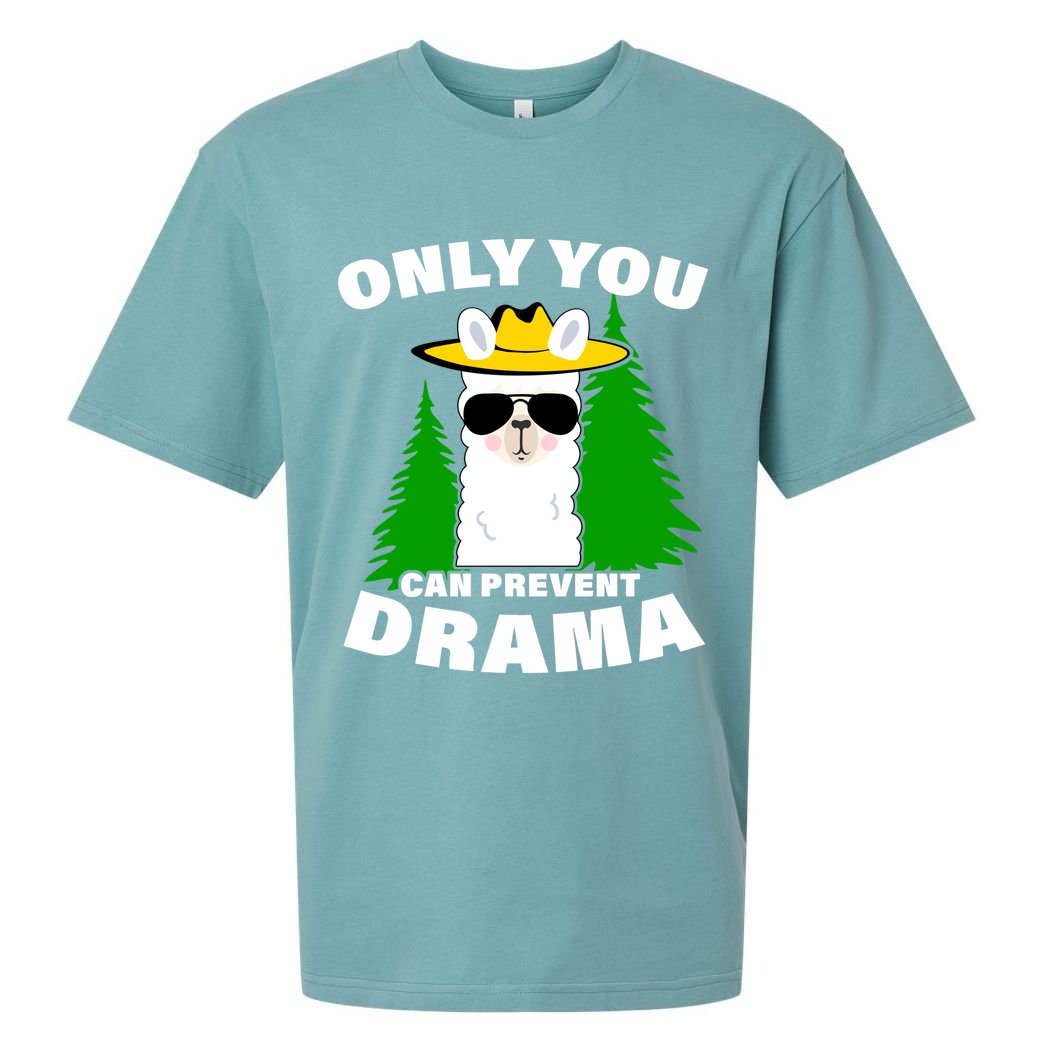 Only You Can Prevent Drama Sueded Cloud Jersey T-Shirt