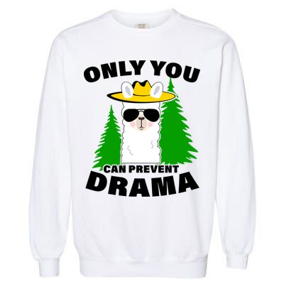 Only You Can Prevent Drama Garment-Dyed Sweatshirt