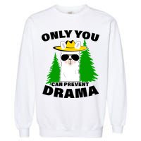 Only You Can Prevent Drama Garment-Dyed Sweatshirt