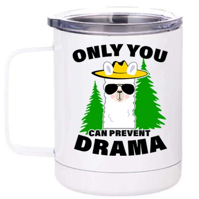 Only You Can Prevent Drama 12 oz Stainless Steel Tumbler Cup