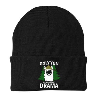 Only You Can Prevent Drama Funny LLama Beanie