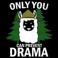 Only You Can Prevent Drama Funny LLama 16 in Basic Backpack