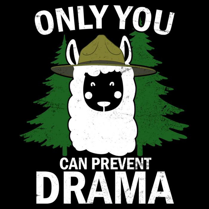 Only You Can Prevent Drama Funny LLama 16 in Basic Backpack
