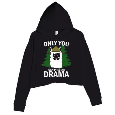 Only You Can Prevent Drama Funny LLama Crop Fleece Hoodie