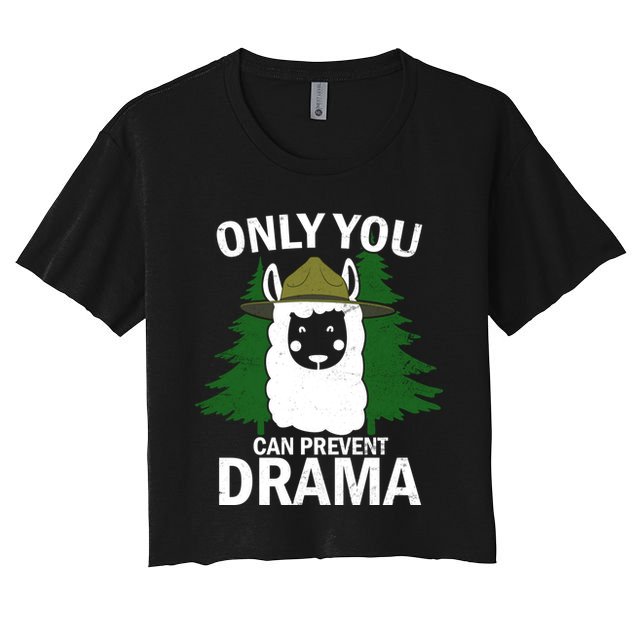 Only You Can Prevent Drama Funny LLama Crop Top