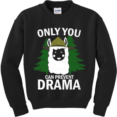 Only You Can Prevent Drama Funny LLama Kids Sweatshirt