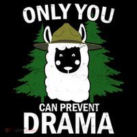 Only You Can Prevent Drama Funny LLama Short Acrylic Beanie