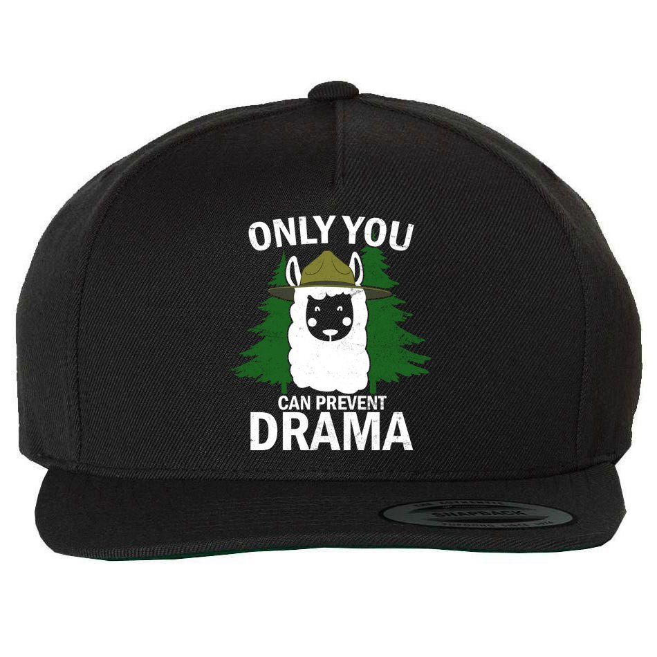 Only You Can Prevent Drama Funny LLama Wool Snapback Cap