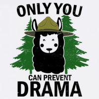Only You Can Prevent Drama Funny LLama Garment-Dyed Sweatshirt