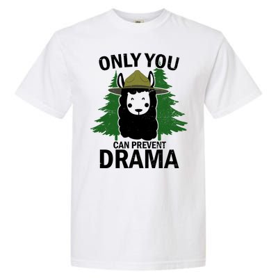 Only You Can Prevent Drama Funny LLama Garment-Dyed Heavyweight T-Shirt