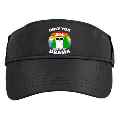 Only You Can Prevent Drama Llama Adult Drive Performance Visor