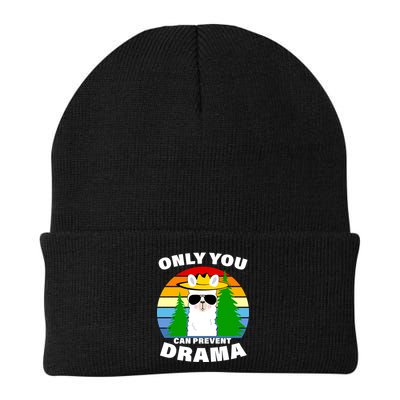 Only You Can Prevent Drama Llama Beanie