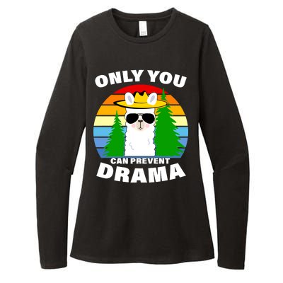 Only You Can Prevent Drama Llama Womens CVC Long Sleeve Shirt