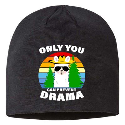 Only You Can Prevent Drama Llama Sustainable Beanie