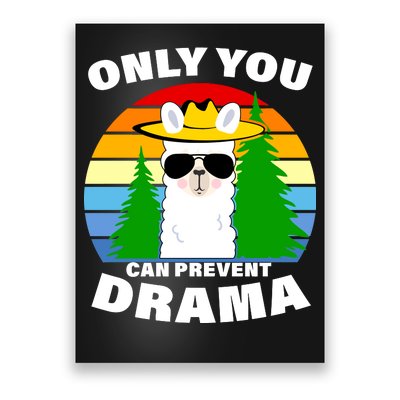 Only You Can Prevent Drama Llama Poster