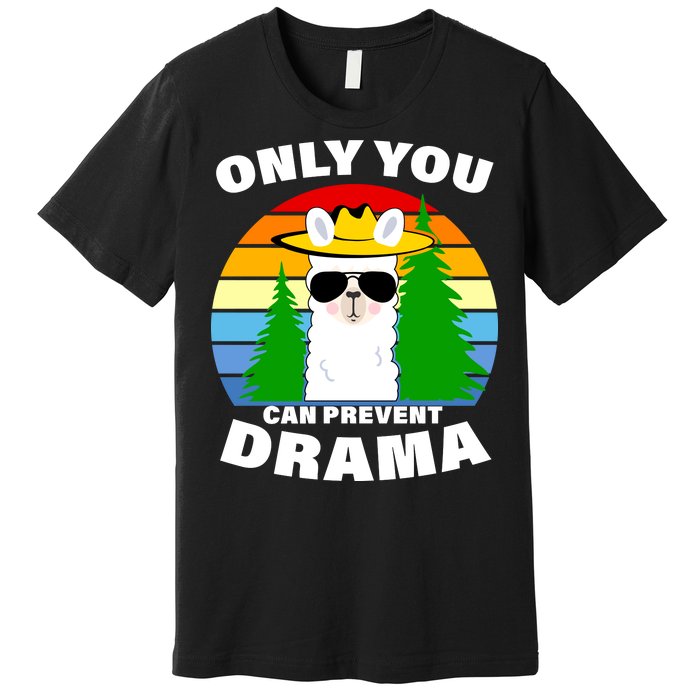 Only You Can Prevent Drama Llama Premium T-Shirt