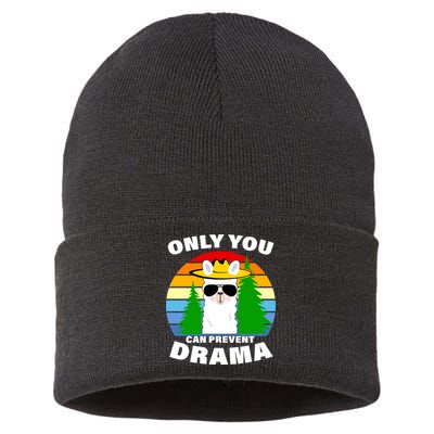 Only You Can Prevent Drama Llama Sustainable Knit Beanie