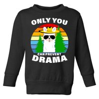 Only You Can Prevent Drama Llama Toddler Sweatshirt