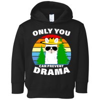 Only You Can Prevent Drama Llama Toddler Hoodie