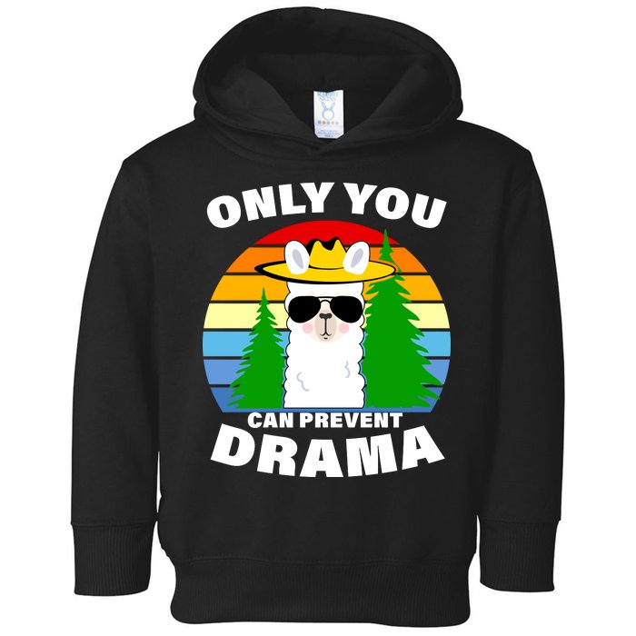 Only You Can Prevent Drama Llama Toddler Hoodie